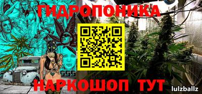 крисы Азнакаево