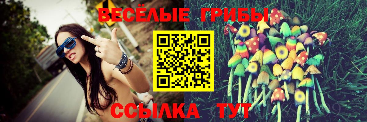 купить закладку  Вход с VPN  Амурск  Галлюциногенные грибы прущие грибы 